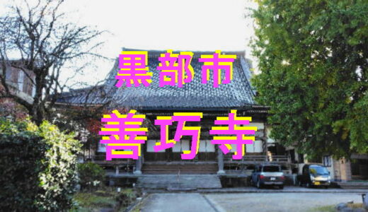 善巧寺